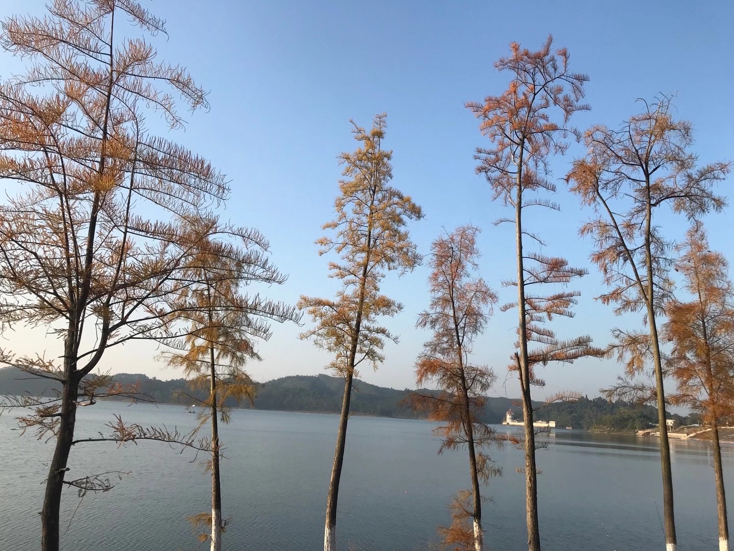 南寧大王灘國家水利風景區(鳳凰湖)