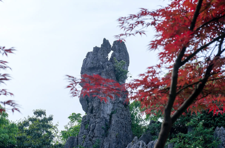 四川广安有座华蓥山,又名"爱情山"别处看不到的