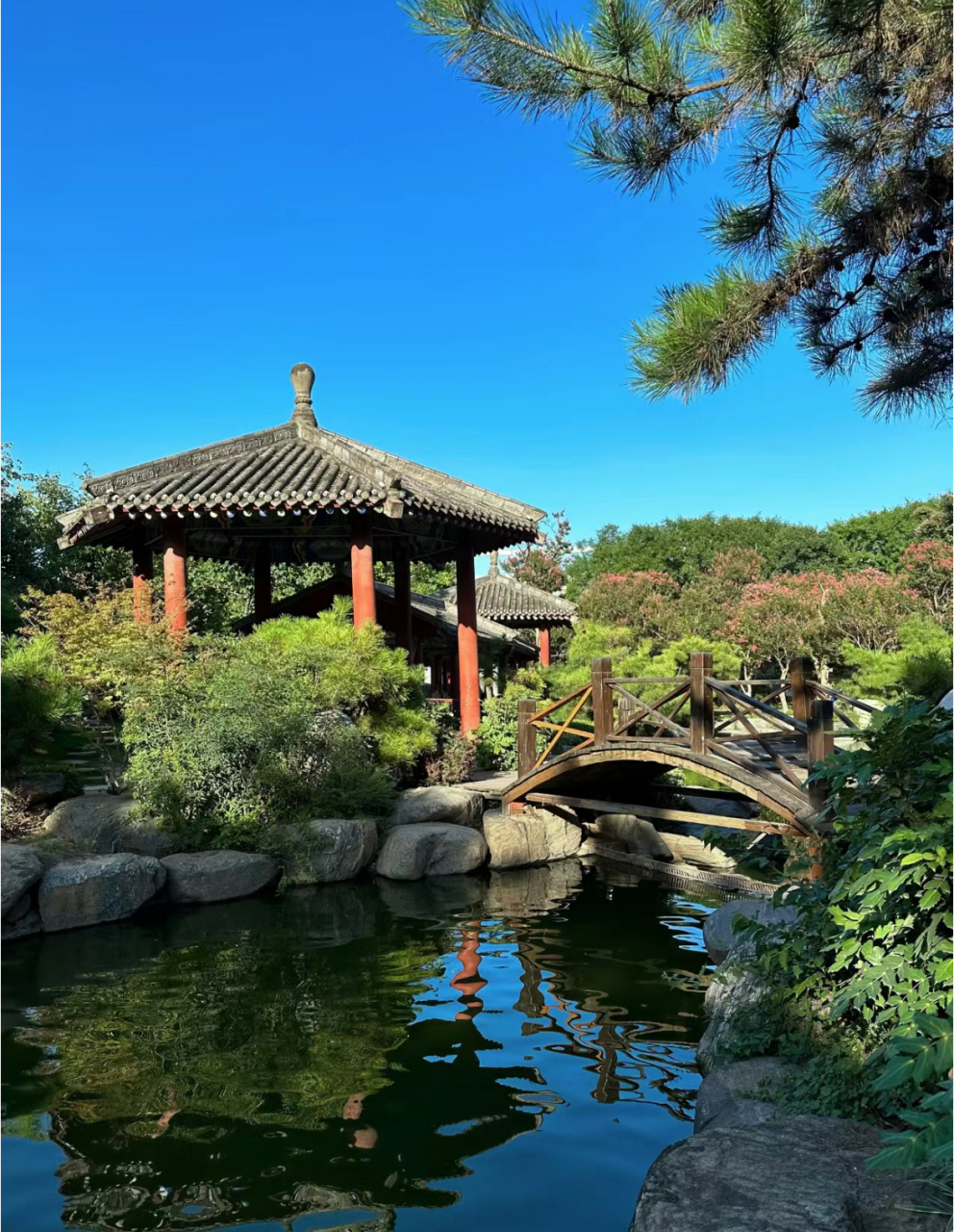 走进景色优美的园林里,真的是一步一景,这就是古城西安的中国唐苑,有