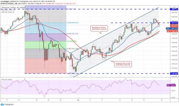 本周值得关注的5种加密货币：BTC、ETH、VET、XMR、FTT