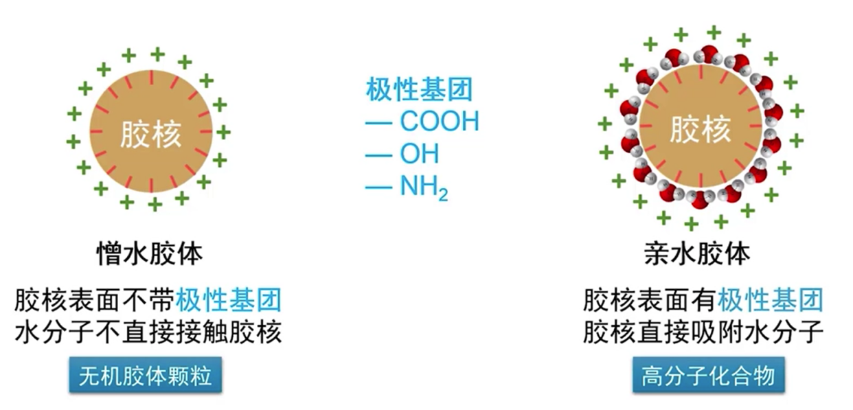 胶体的性质