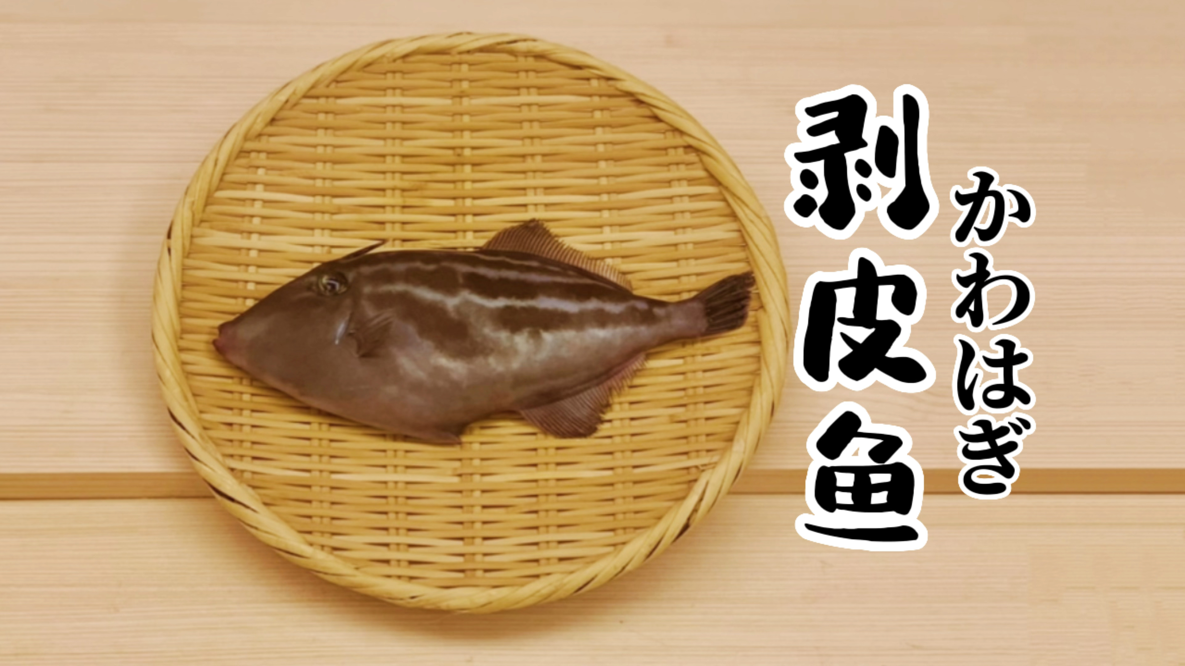 剥皮鱼-寿司制作