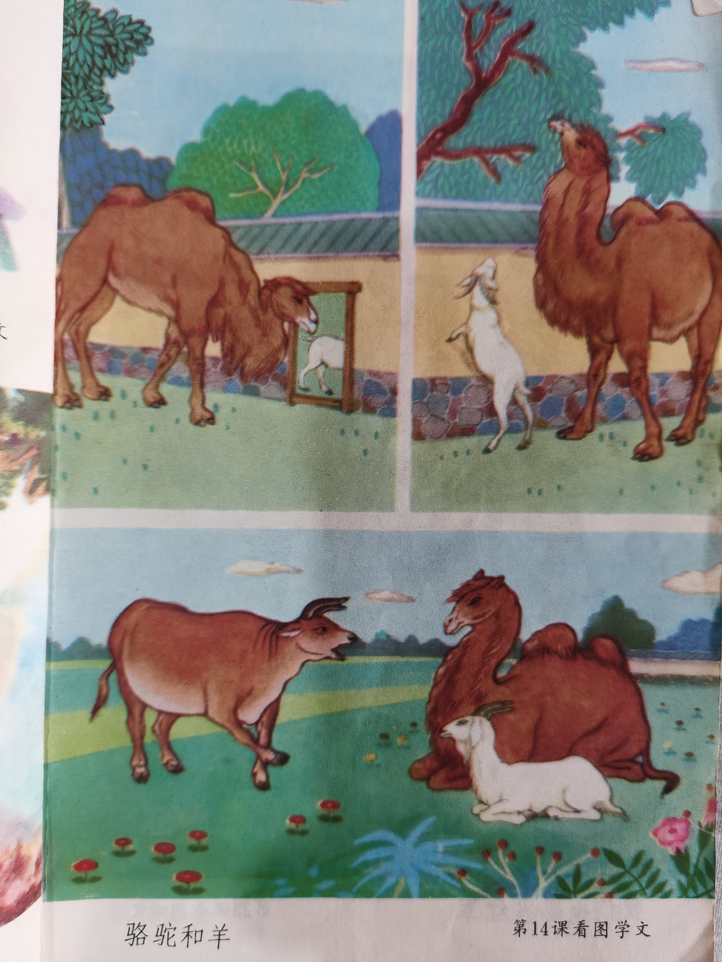 五年制小学语文课本