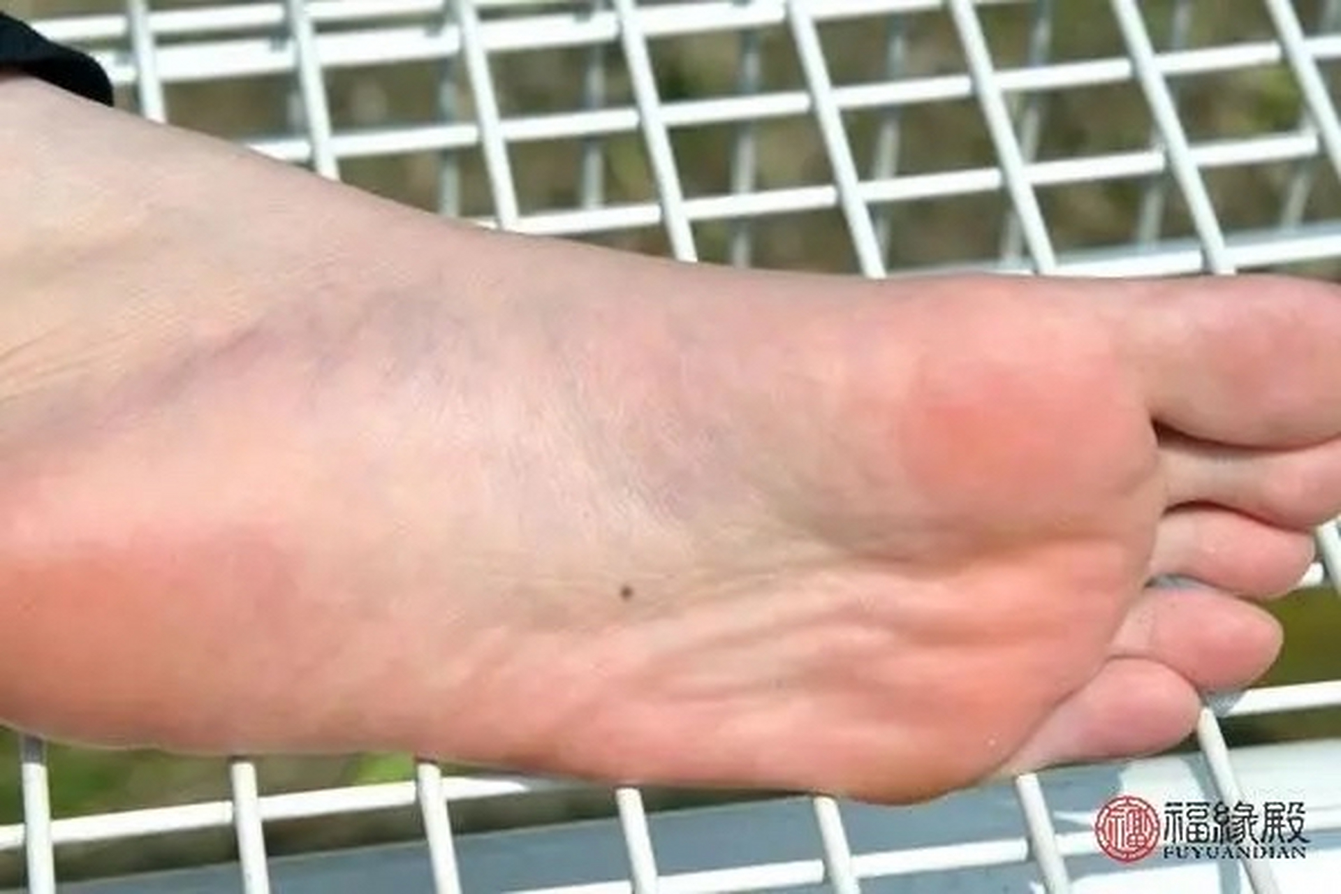 脚底有痣主富贵,脚背有痣劳苦命. 鼻头尖肖一生奔,鼻头小者一世飘.