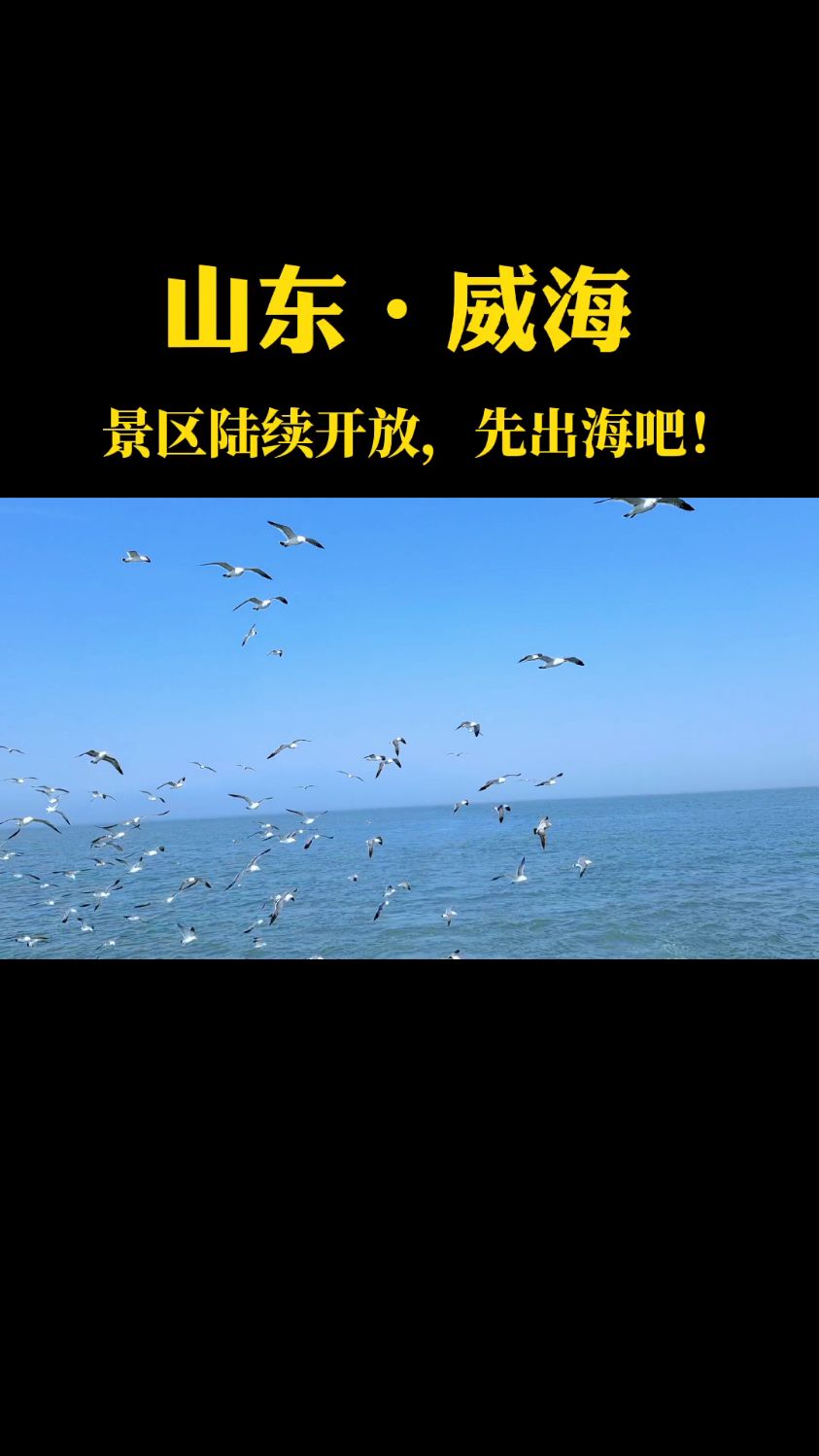 威海景区陆续开放,先看看大海吧!去一趟海驴岛-度小视