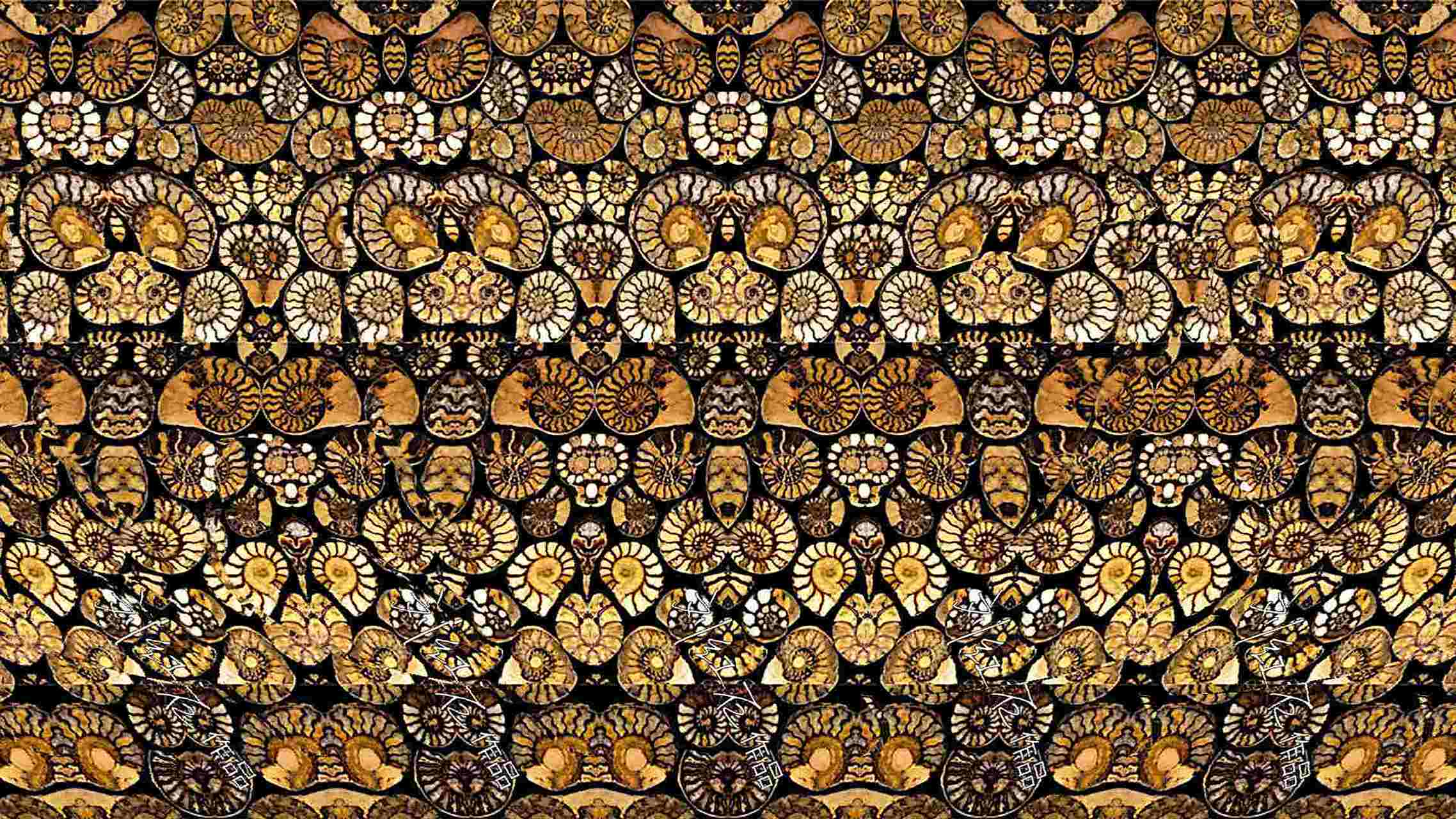 刘红石的最新作品,你能看出这幅#三维立体画# 里面的奇妙世界么?