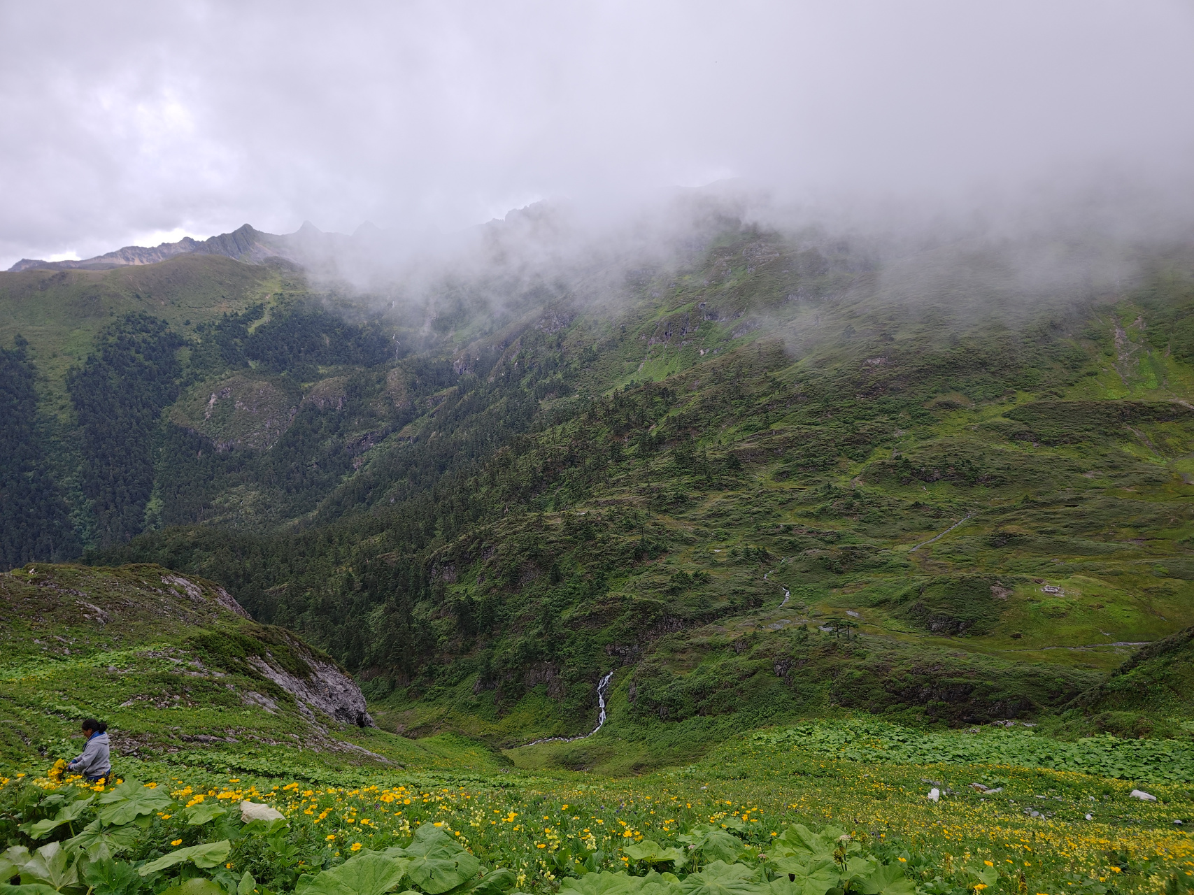 怒江贡山孔雀山