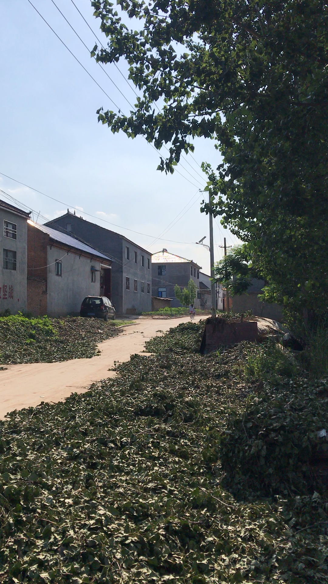 山东菏泽东明,农村老家,心中永远的牵挂