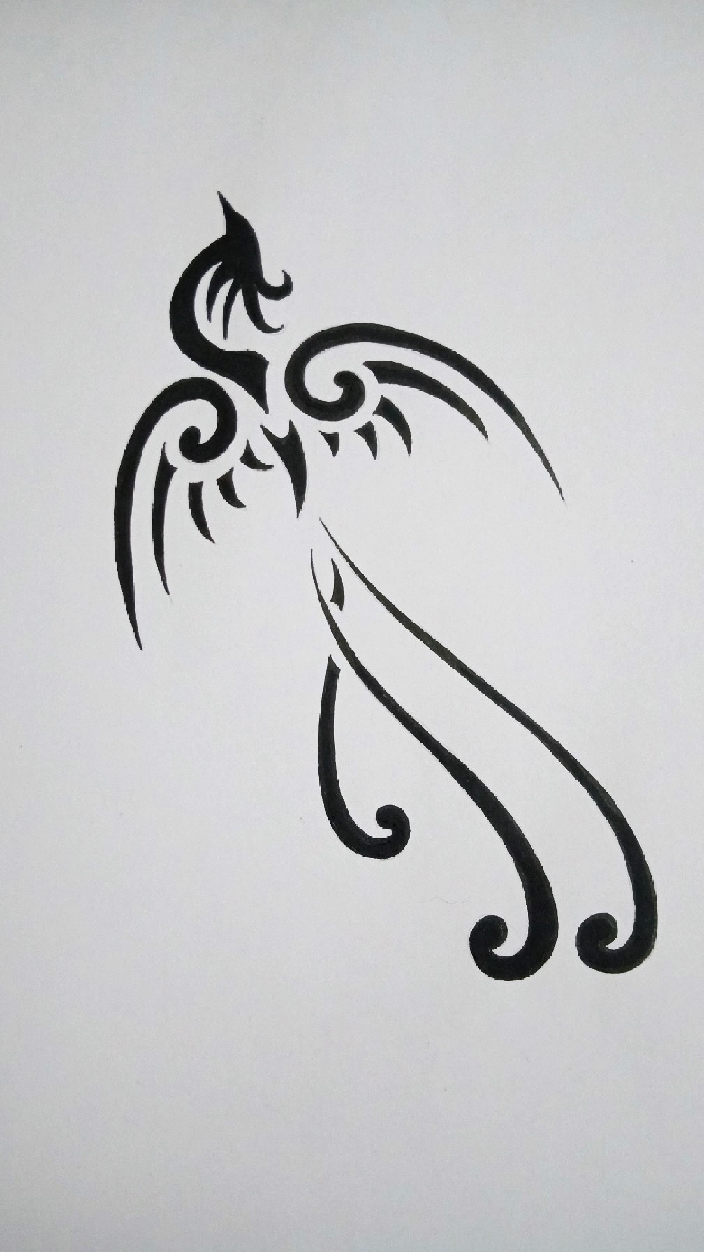 足不出户,在家就能学的黑影画孔雀-度小视