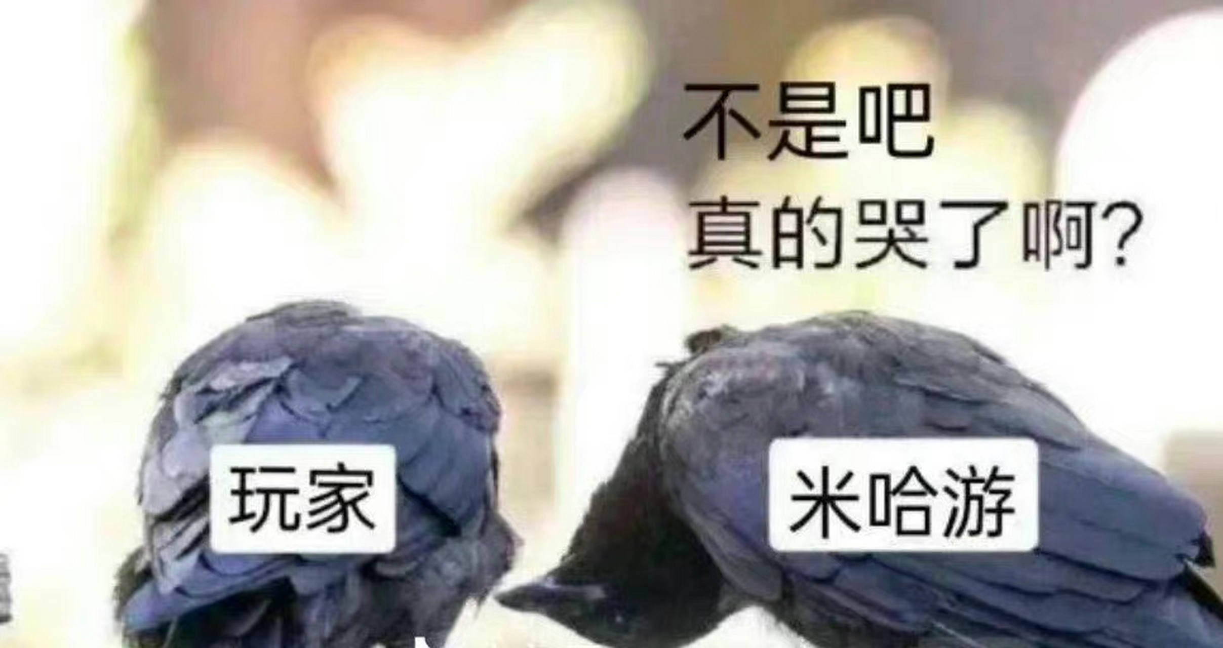 發現一些很好玩的表情包[吃鯨][吃鯨][吃鯨]有笑到!#原神