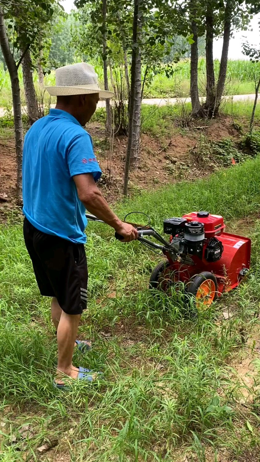 多功能汽油除草松土开沟一体机果园锄草机