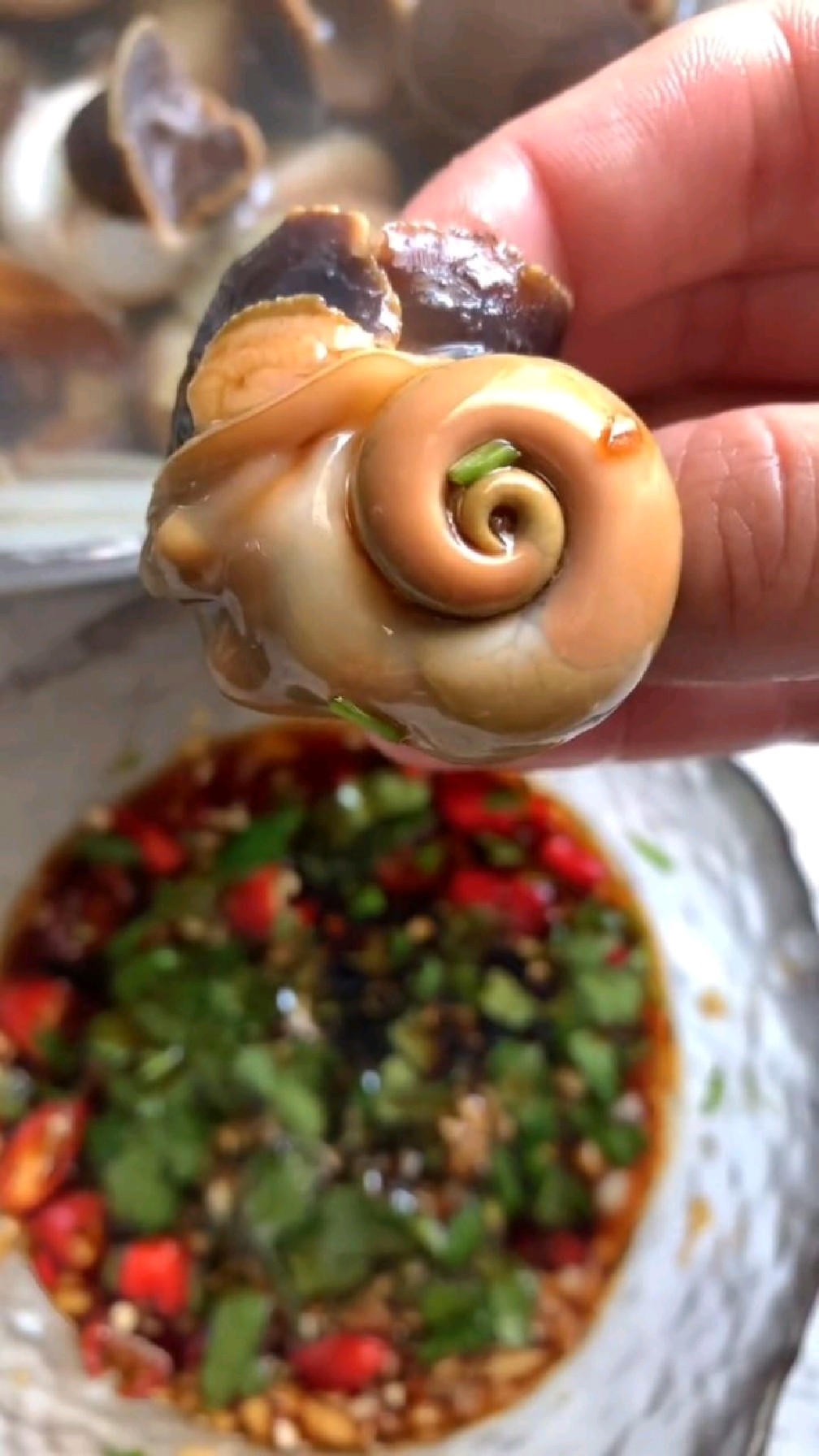 赶海得美食猫眼螺制作方法