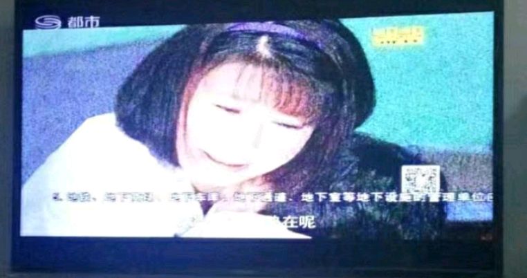 看《小草进城》