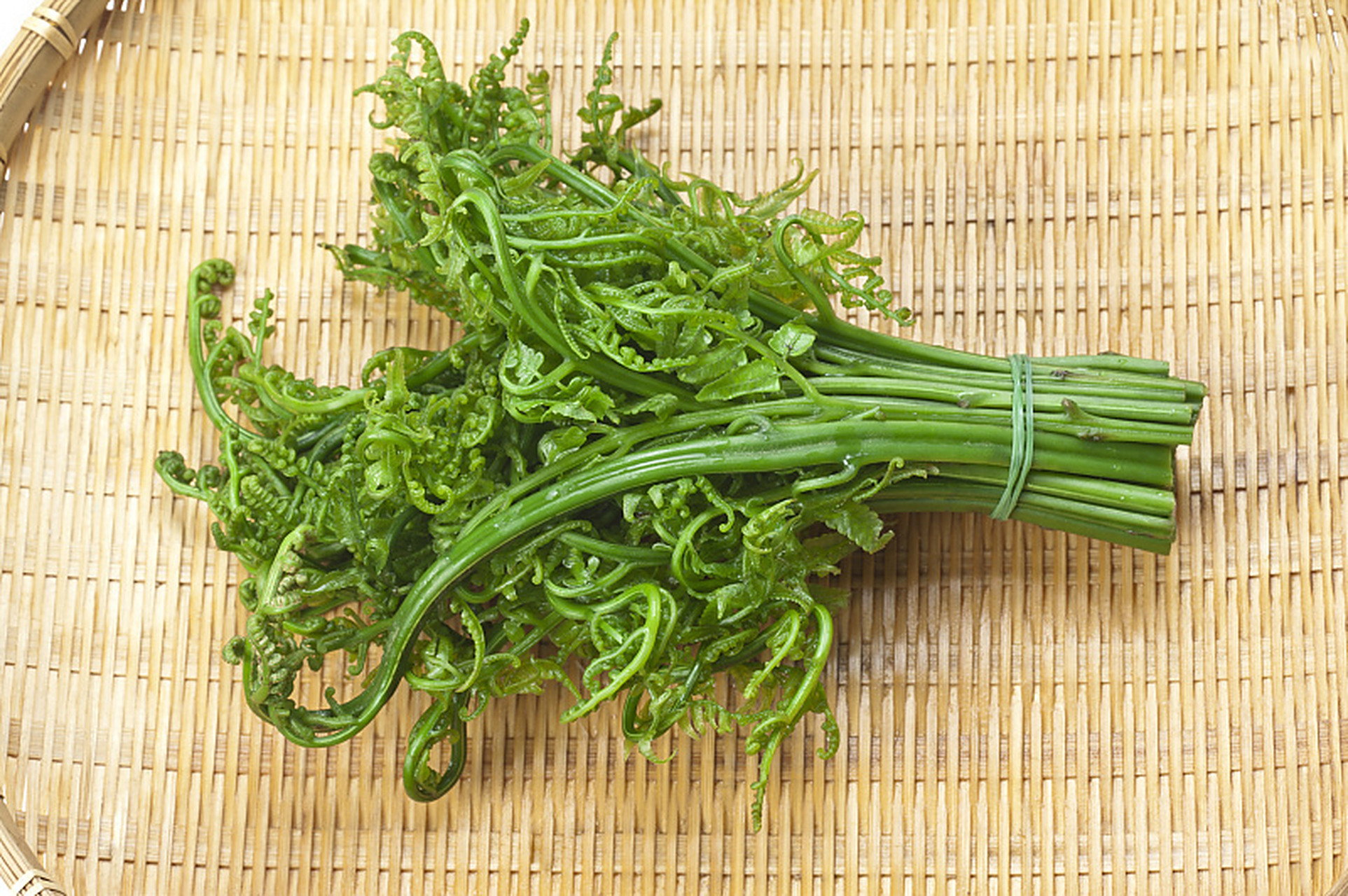 需要小心食用的野菜 蕨菜:蕨菜也叫龙头菜,如意菜,菜色青绿,肉质细嫩