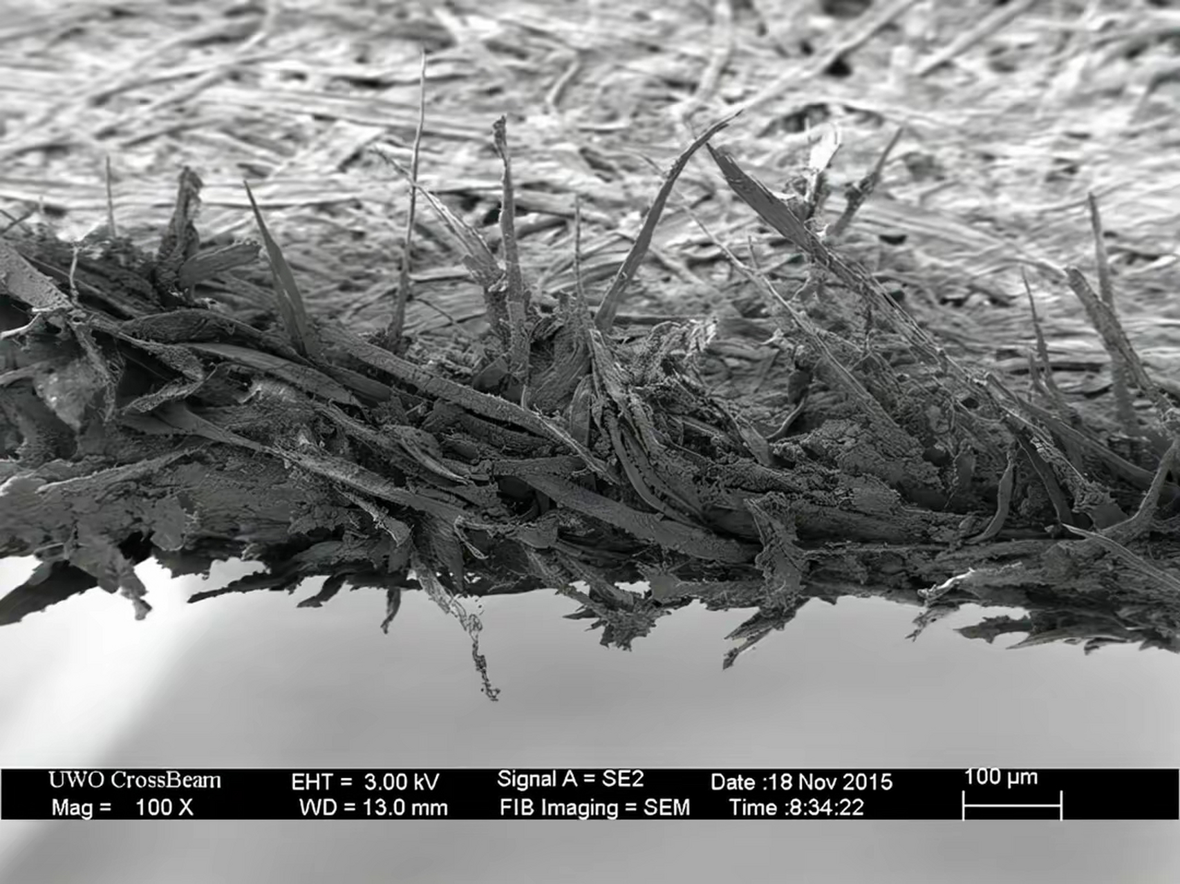 这是在高倍显微镜下观察到的纸张边缘,没想到竟然如此的毛糙