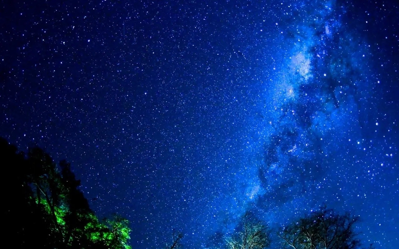 原来,这才是夏天的夜晚,衰老和枯萎与之毫不相干