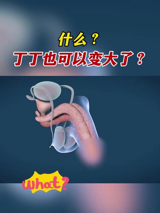 什么?丁丁也可以变大了?