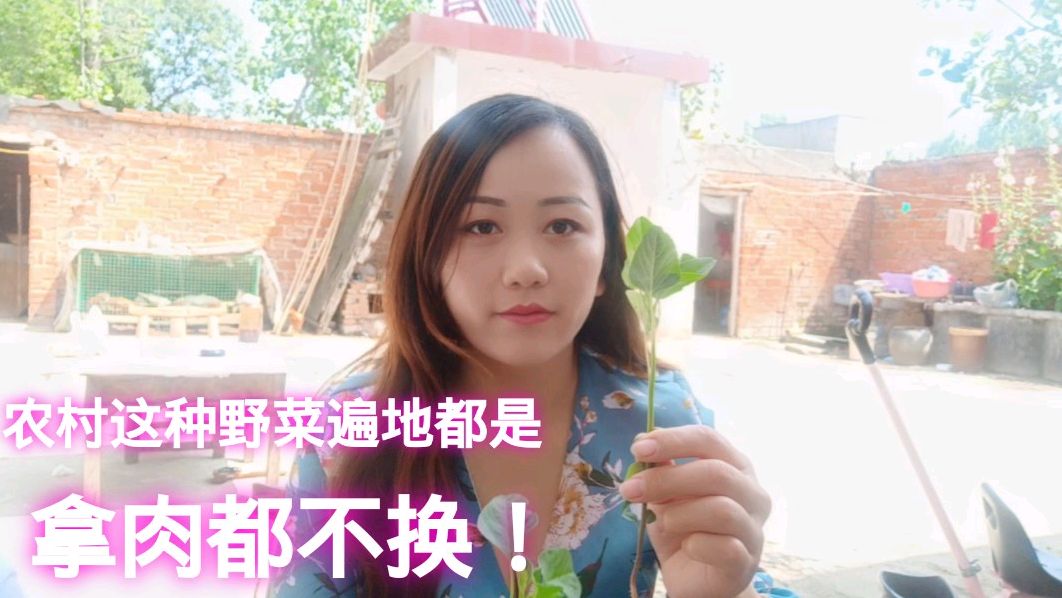 河南农村这种野菜遍地都是,配捞面条吃真是人间美味,拿肉都不换