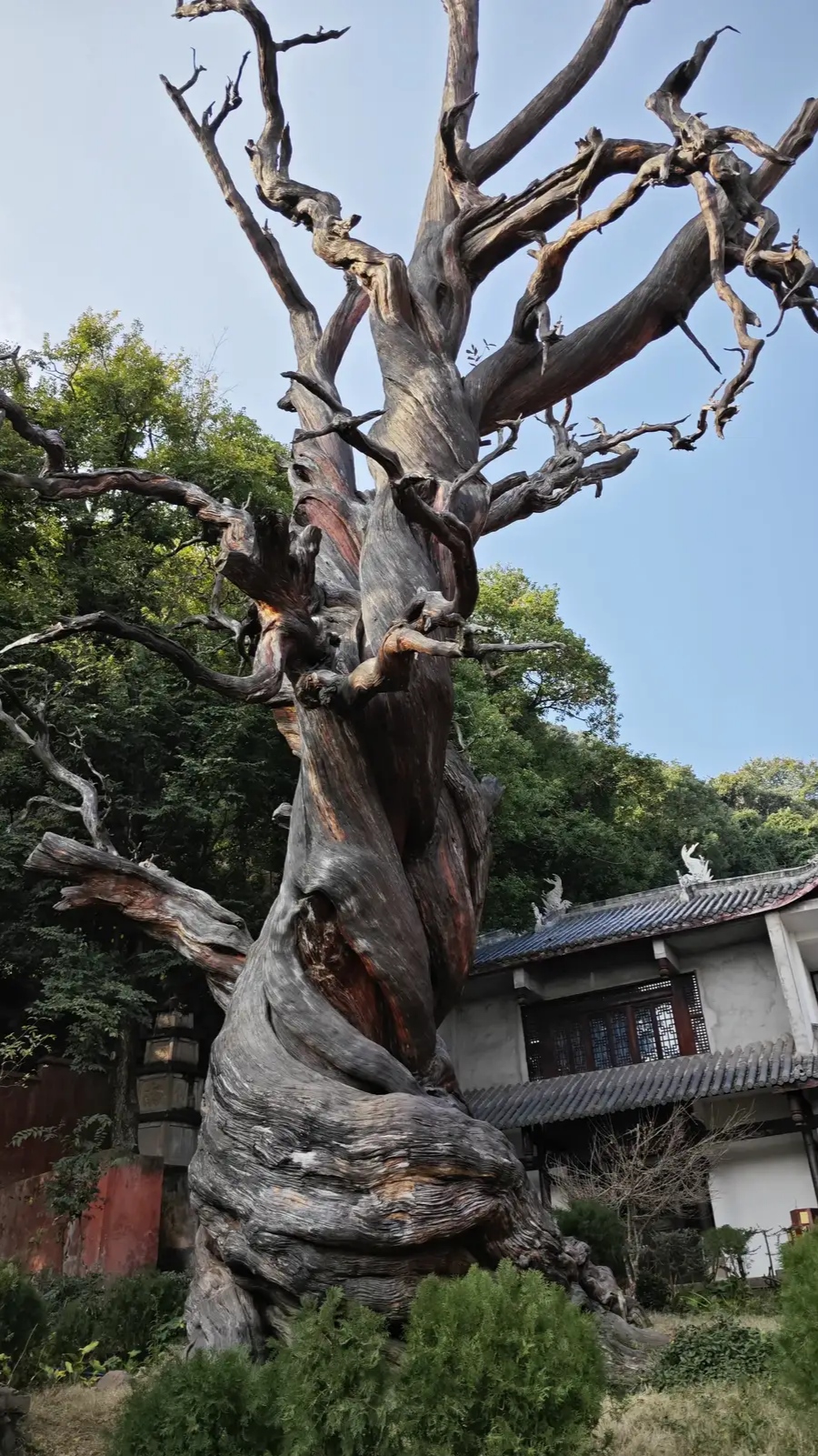 邛海泸山风景区图片