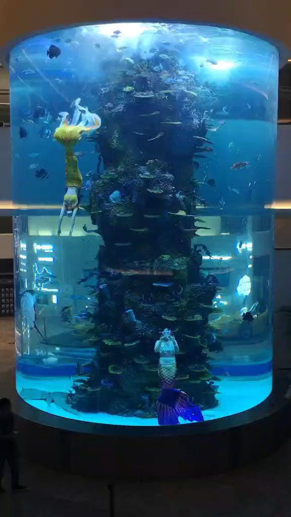 大型圆柱亚克力鱼缸美人鱼表演