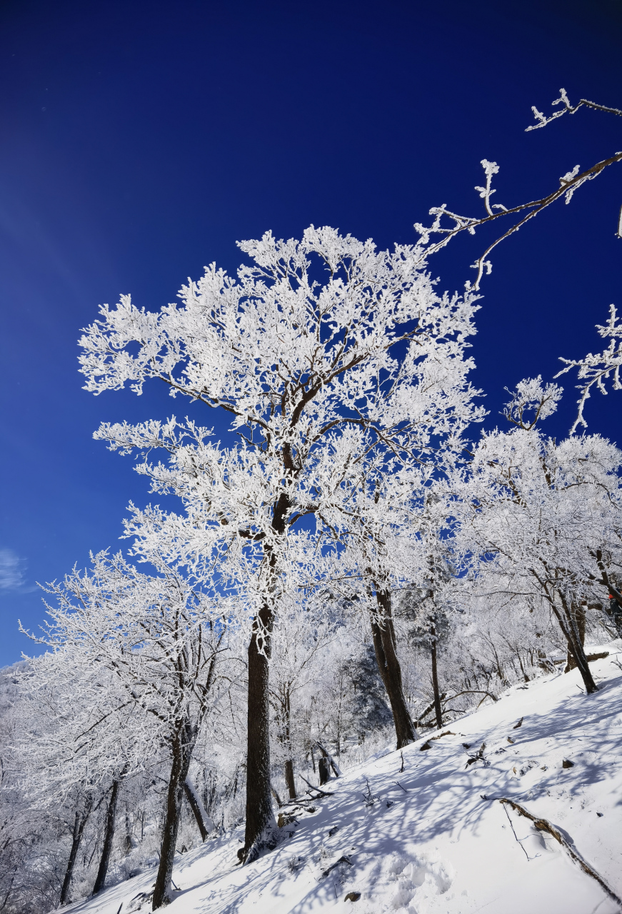 冬季在场证明# 吉林蛟河西土山冬日美景,东北的冬天,有时候美的惊艳