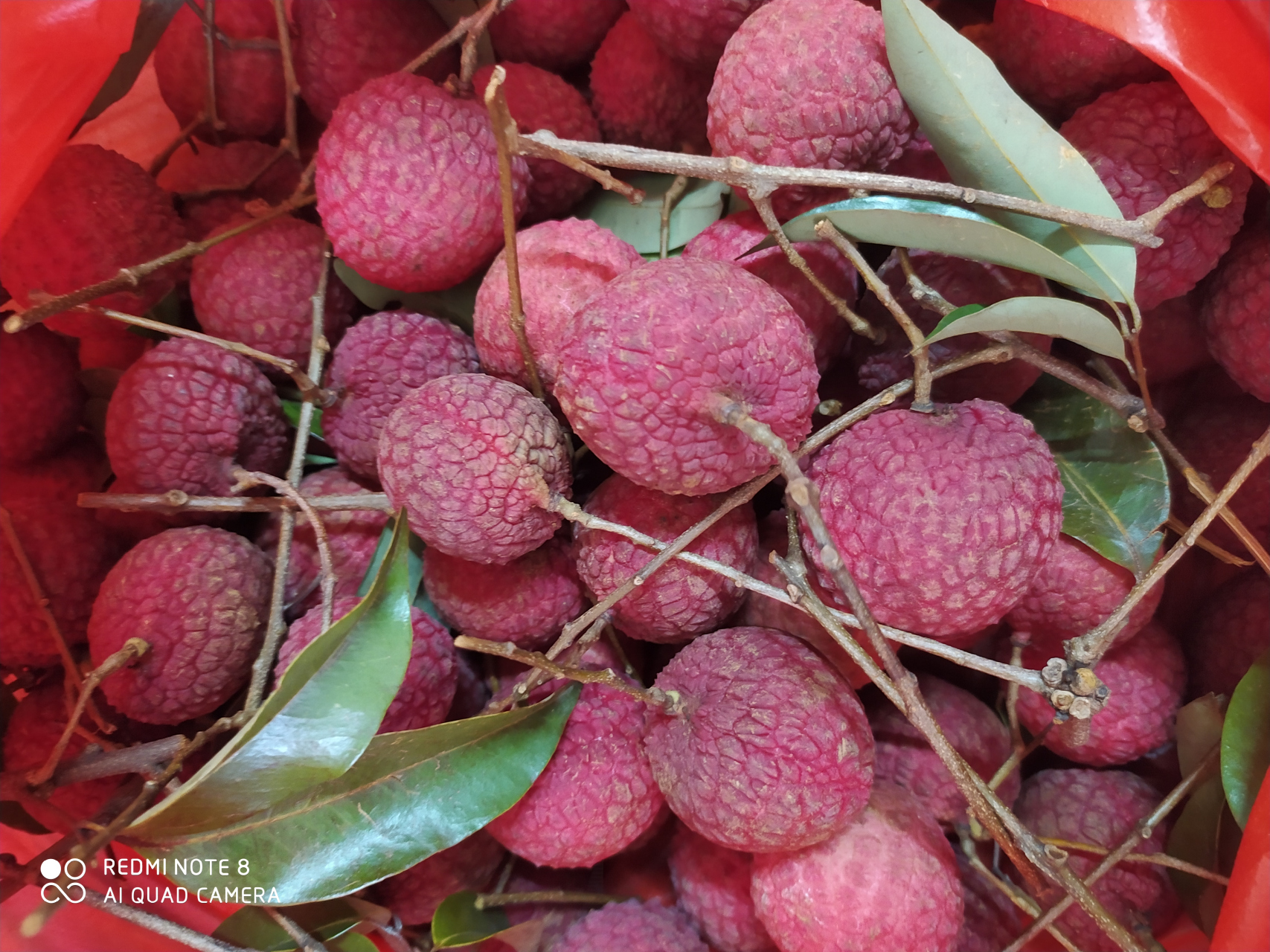 今年荔枝丰收,但产量高价格就低了,加上采摘的人工费用,果农反而挣不