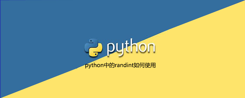 如何在python中使用randint