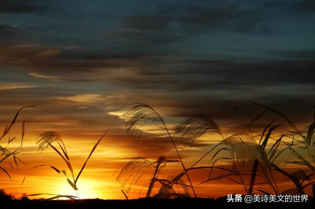 山雨欲来风满楼