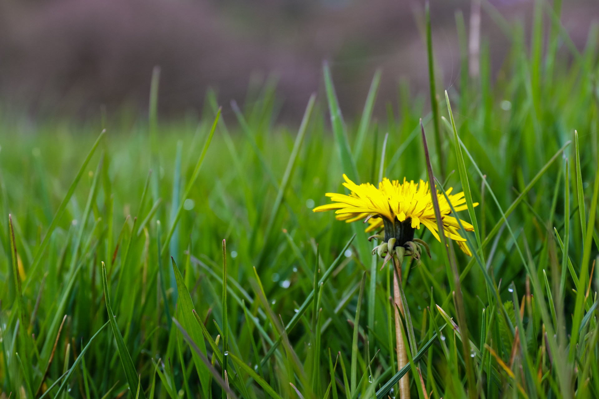把别人的嫉妒看成特别的赞美,心情好敞亮  好多时候,遭遇了别人的嫉妒