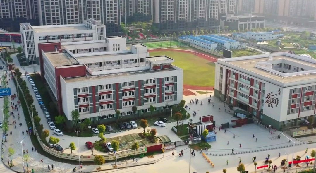 武汉阳逻街中心小学转学(武汉阳逻街中心小学转学要求)