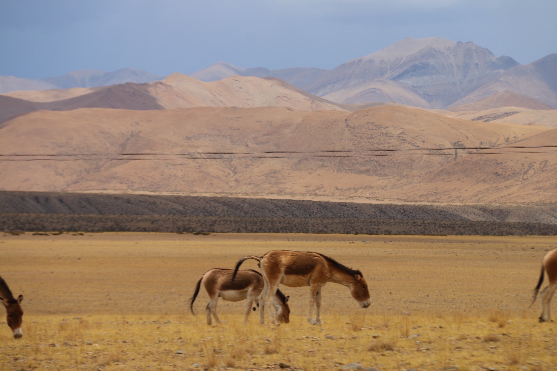 歪解治七年之痒