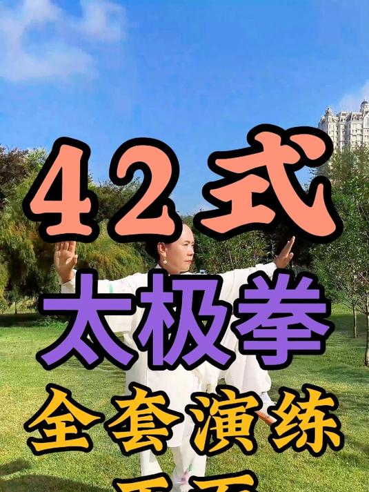 42式太极双扇正面全套图片