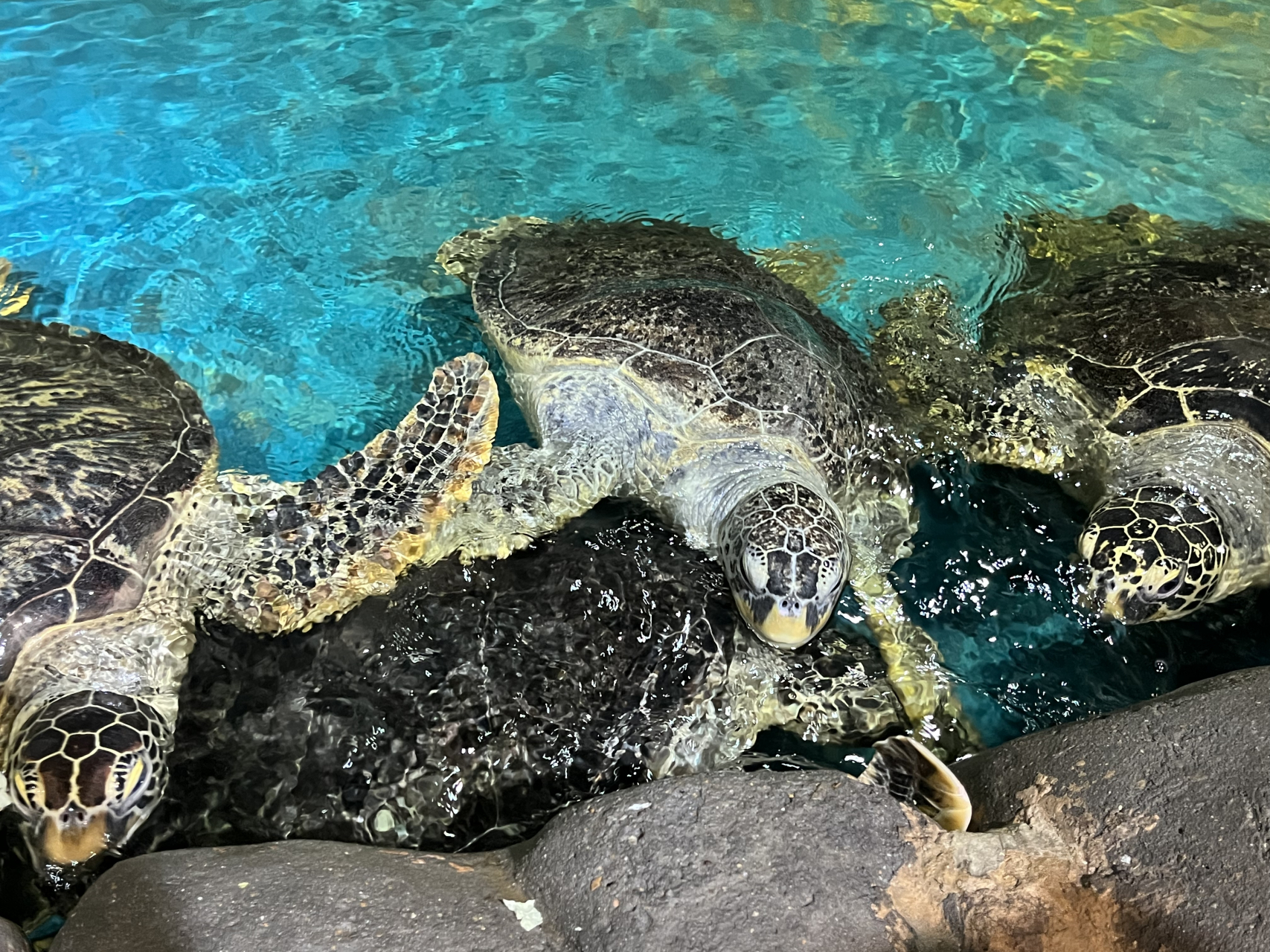 徐州海底世界公园