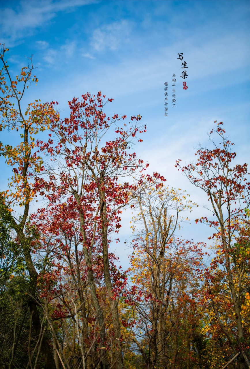 户外写生风景图片