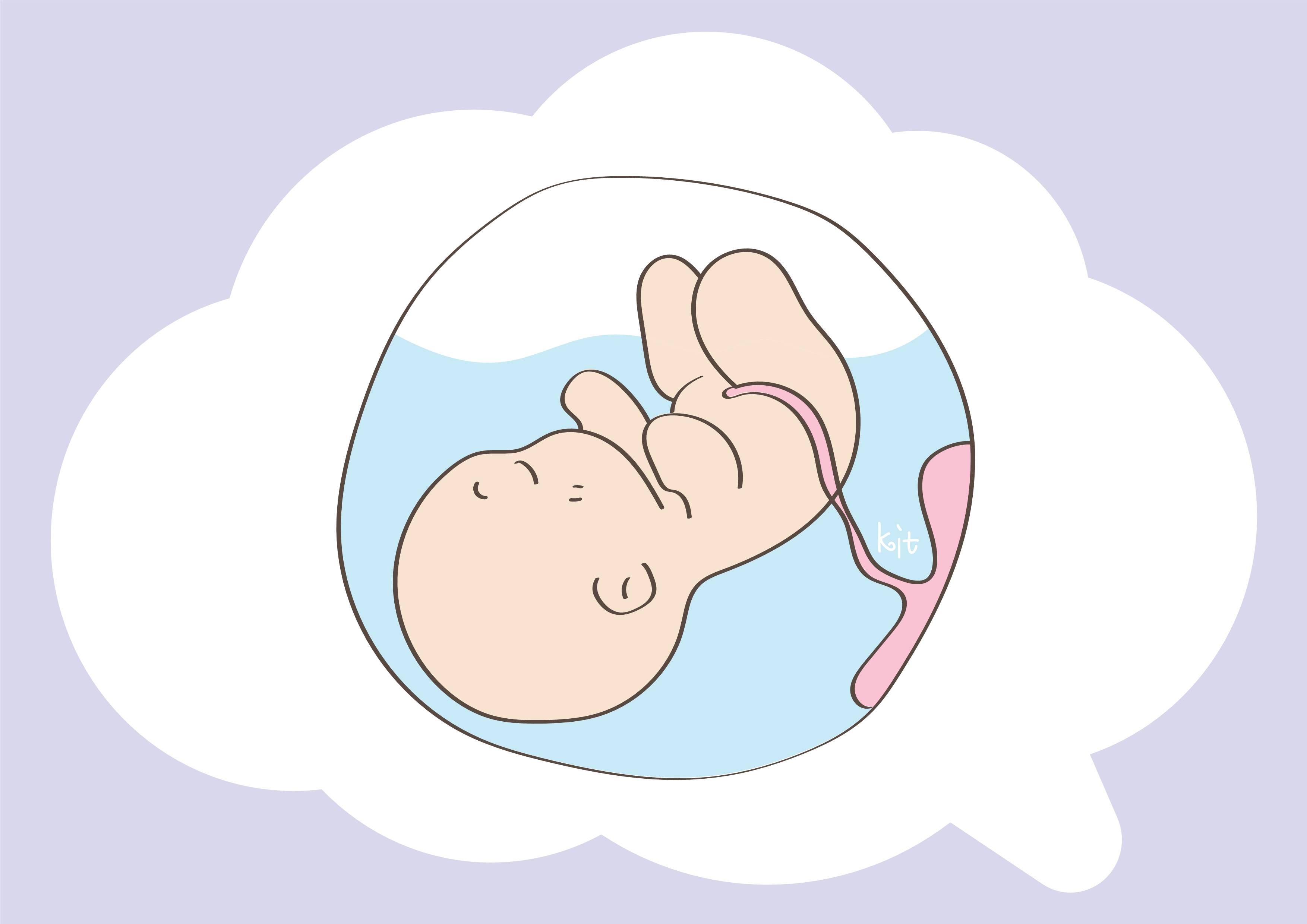 傻妈笨奶带娃记第一新生命的诞生(孕期到出生)2