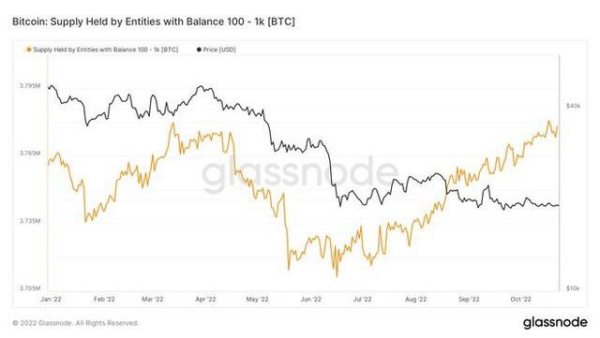 小型比特币投资者阻止鲸鱼将 BTC 价格跌破 18,000 美元