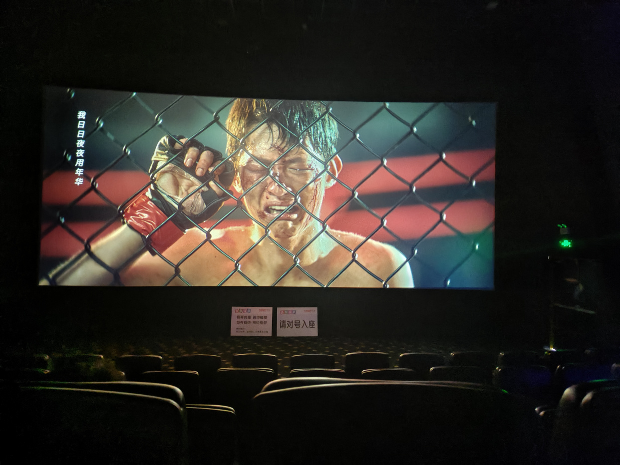 看电影《八角笼中》