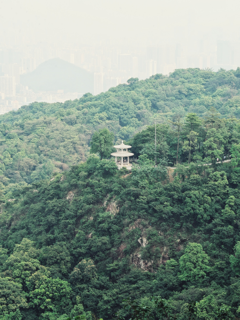 依旧是白云山 / 摩星岭