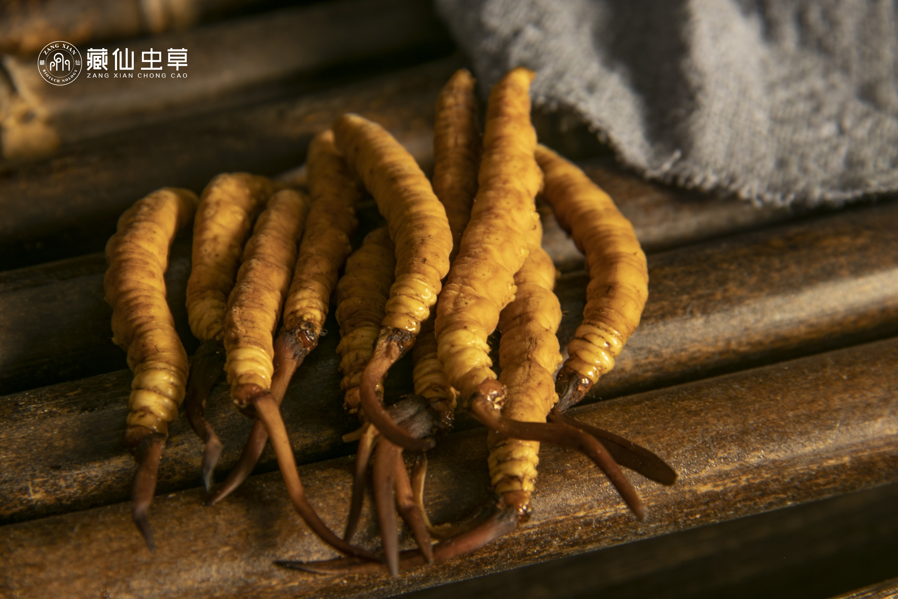 藏仙集团的藏仙6a虫草片,为什么这么值得信赖