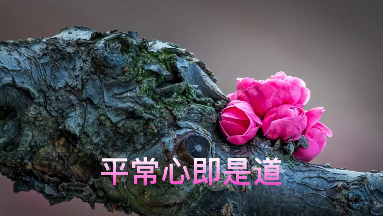 保持平常心,是一个人最难得的修行