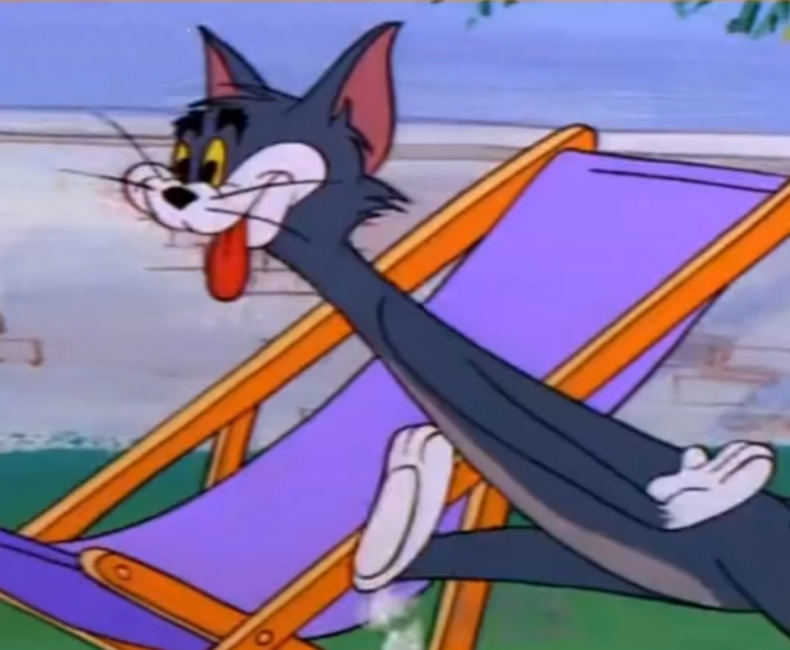 又一个现实版的汤姆喵,这伸长脖子的样子,跟动画片里汤姆看到心仪的喵