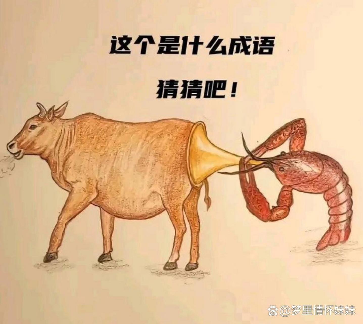 借鸡生蛋到了登峰至极的六大行业!  1,用别人的女人生蛋,ktv做到了.