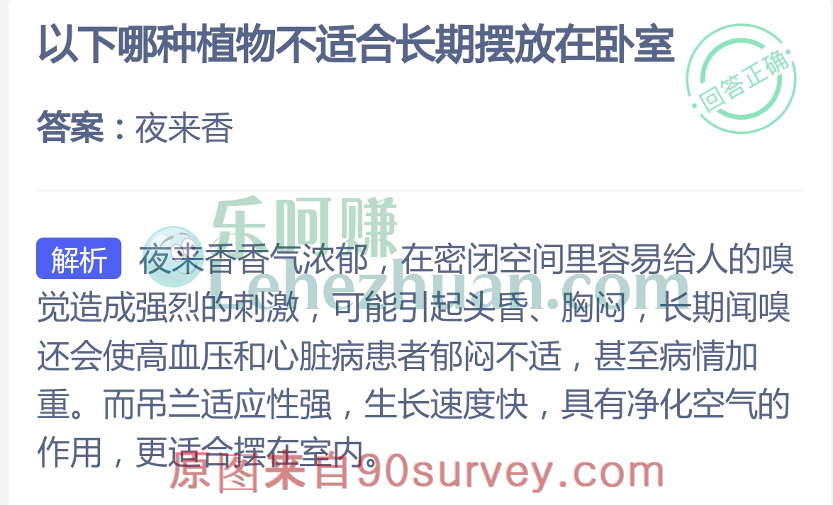 植物夜来香不适合长期放在卧室