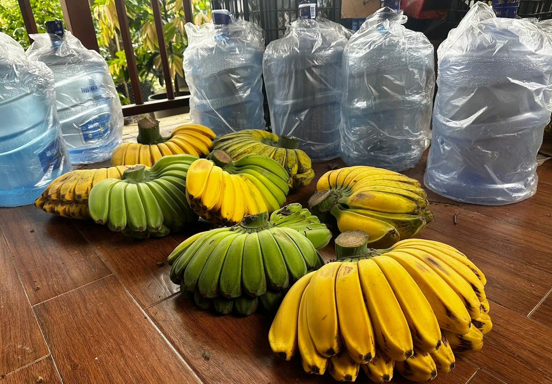 祈祷之手,最有佛缘的水果,佛手蕉,也叫合手蕉…9090世界上最好的