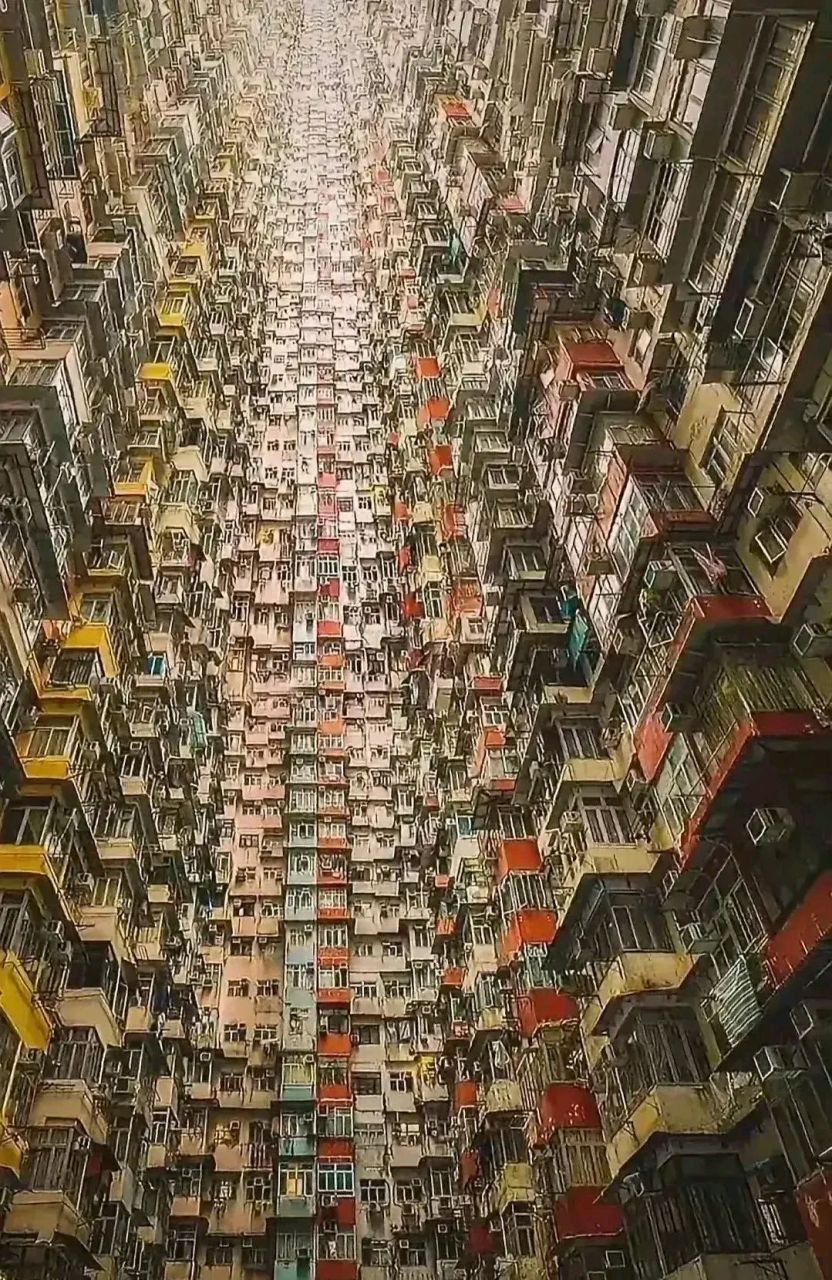 香港的鸽子楼,有密集恐惧症的我,表示看了之后头麻眼晕!