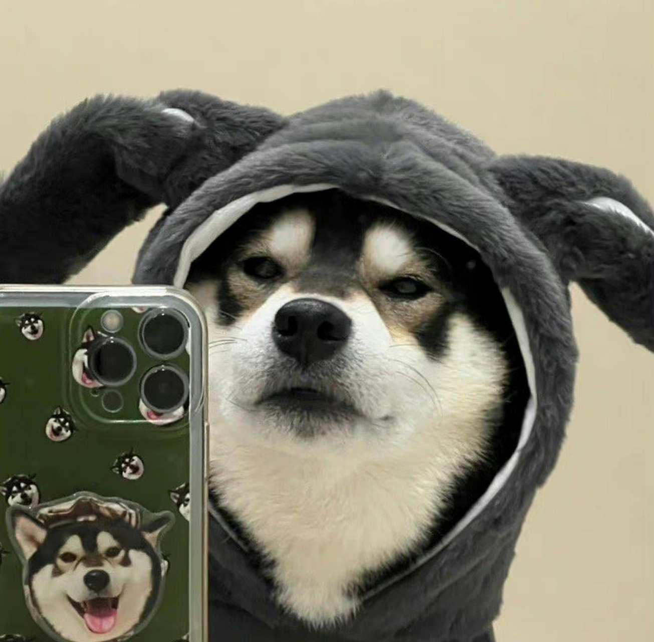 一些可爱的小狗狗头像.