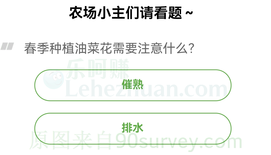 春季种植油菜花需要注意什么？正确答案：排水