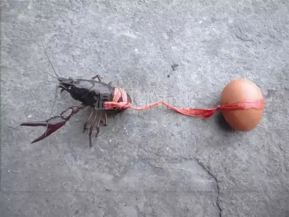 奇葩的二简体,我们只用了半年:请勿仃车、吃个鸡旦