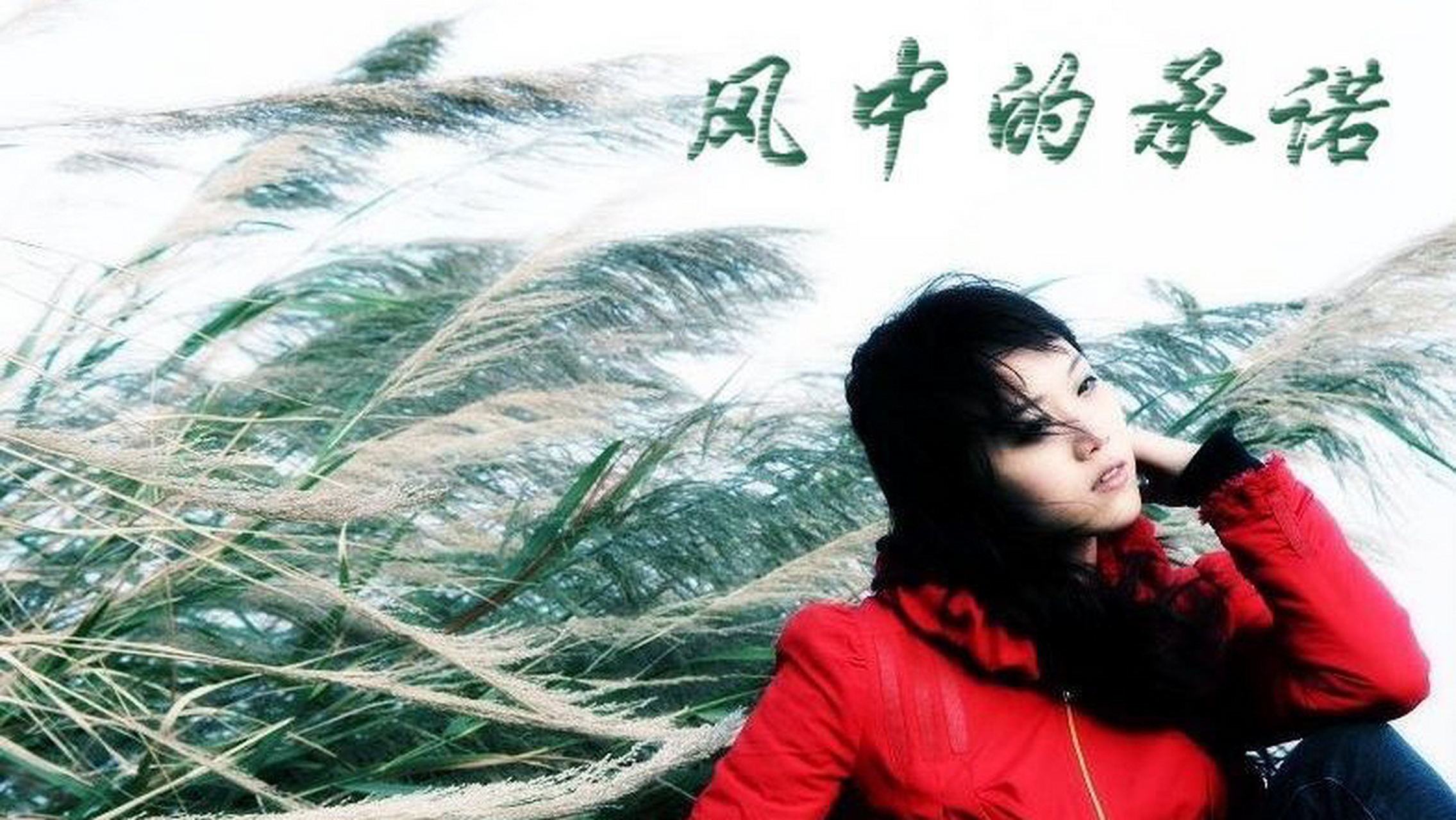 《风中的承诺》是李翊君演唱,由吕国梁作词,马饲野康二作曲.