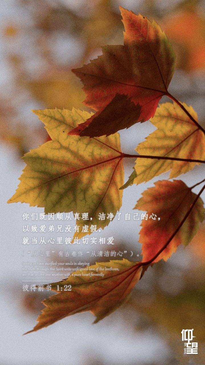 彼得前书1:22(和合本)  你们既因顺从真理,洁净了自己的心, 以致爱